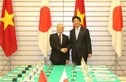Tổng Bí thư hội đàm với Thủ tướng Nhật Bản Shinzo Abe